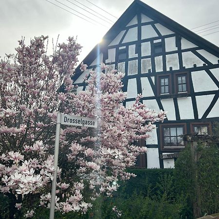 Das Pautzen Haus Daun Exteriér fotografie