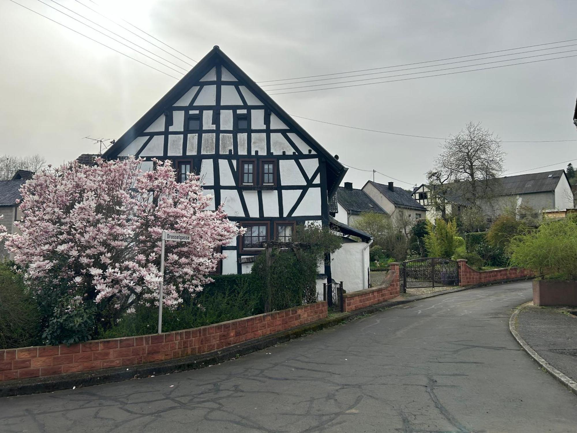 Das Pautzen Haus Daun Exteriér fotografie