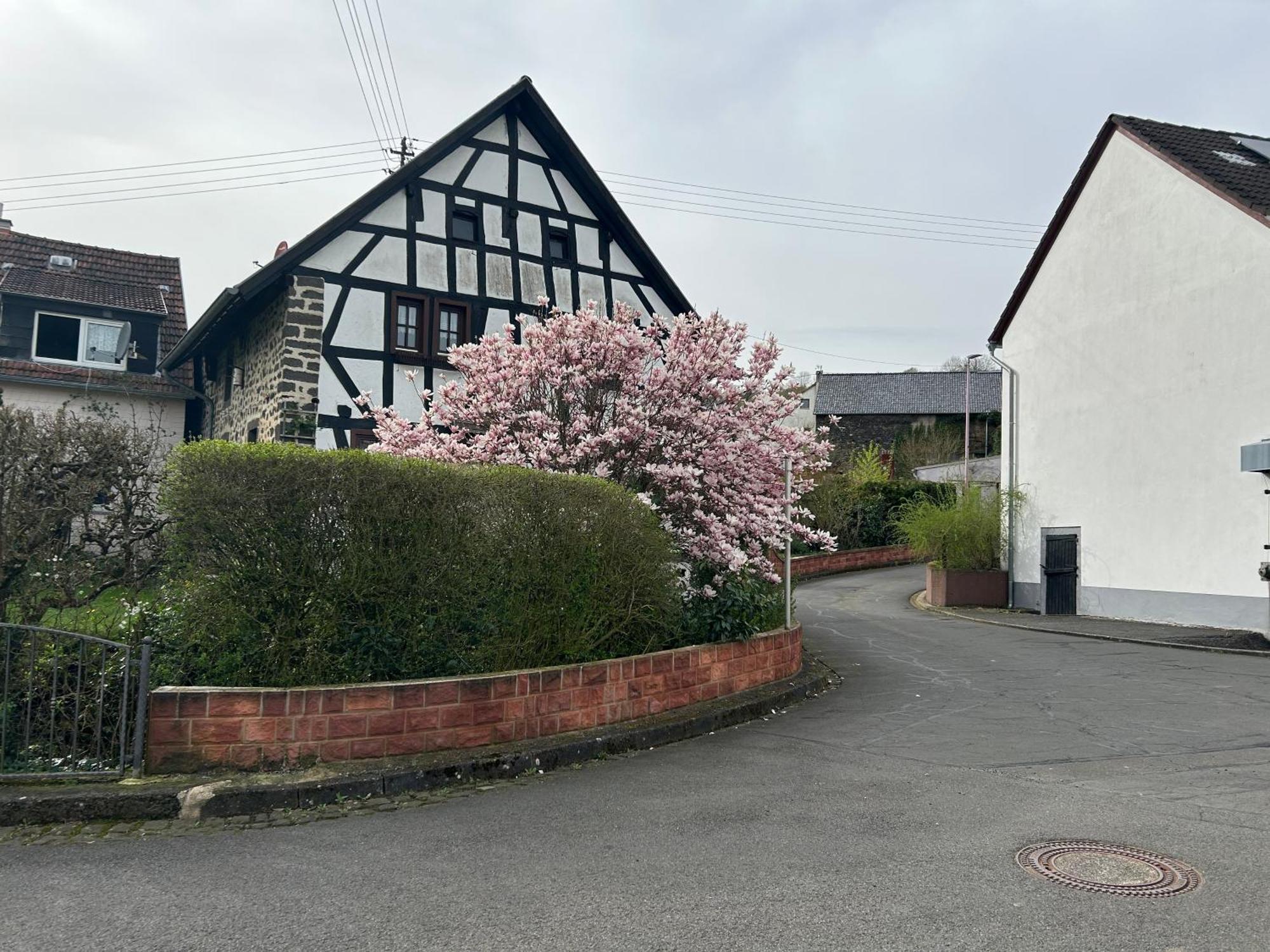 Das Pautzen Haus Daun Exteriér fotografie