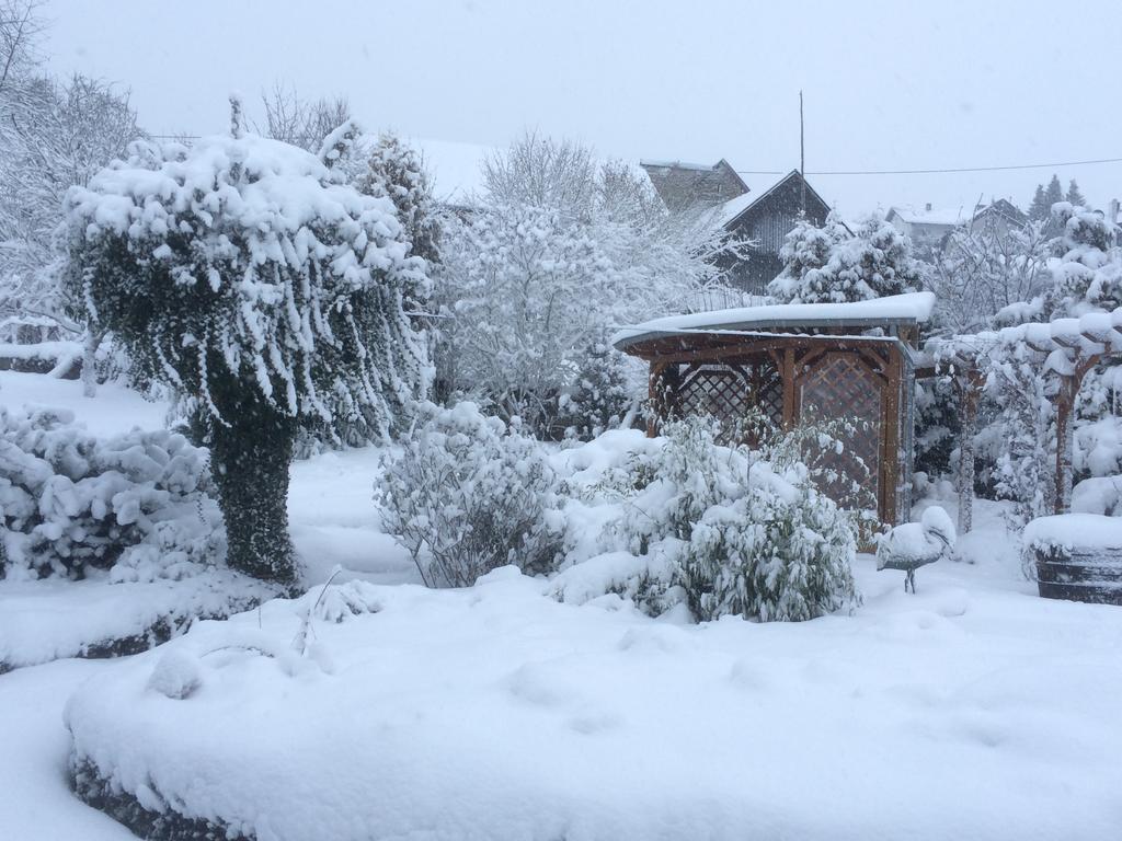 Das Pautzen Haus Daun Exteriér fotografie